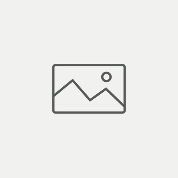 company_icon